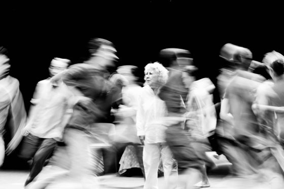 西北孤鸟／两个卖惨的妈妈和10个耍宝的孩子──评何家伟版《寻找小猫的妈妈》