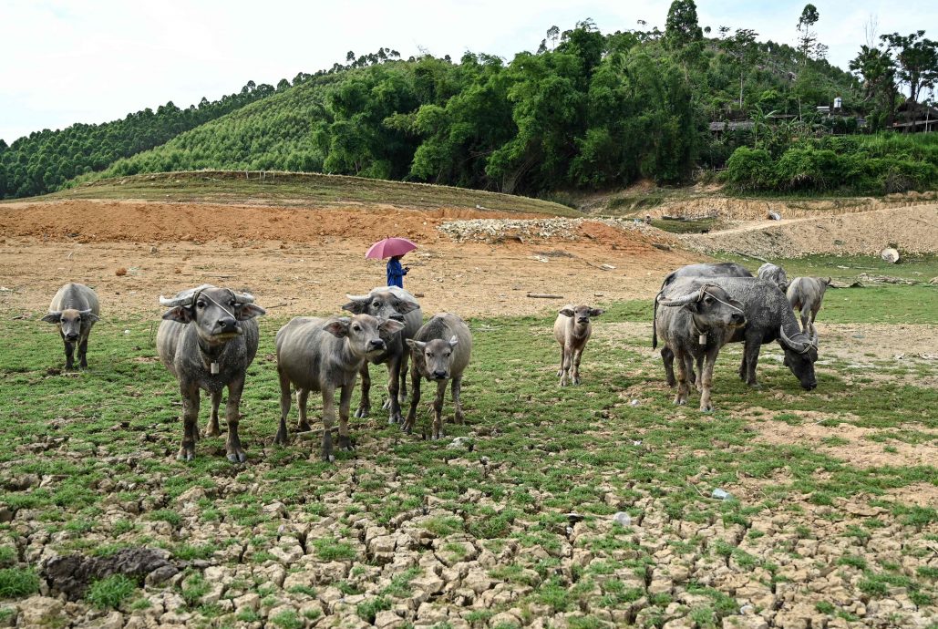 越南电力危机冲击本地公司外资 损失“难以估算”