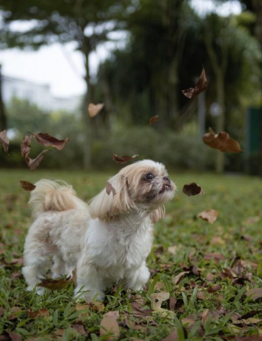 阿Girl，妈妈心中最美的天使