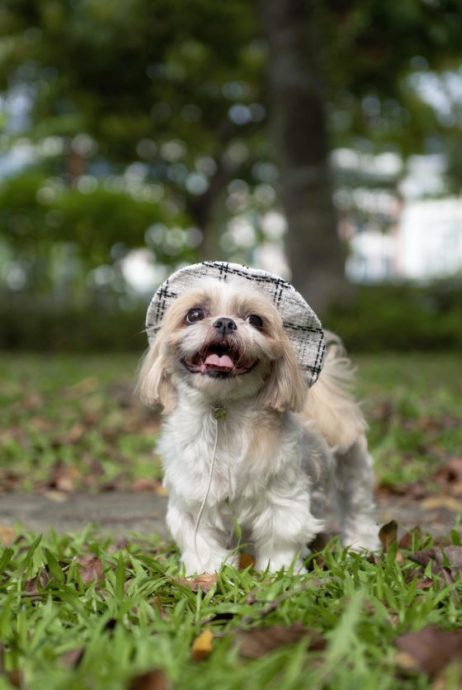 阿Girl，妈妈心中最美的天使