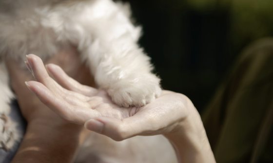 阿Girl，妈妈心中最美的天使