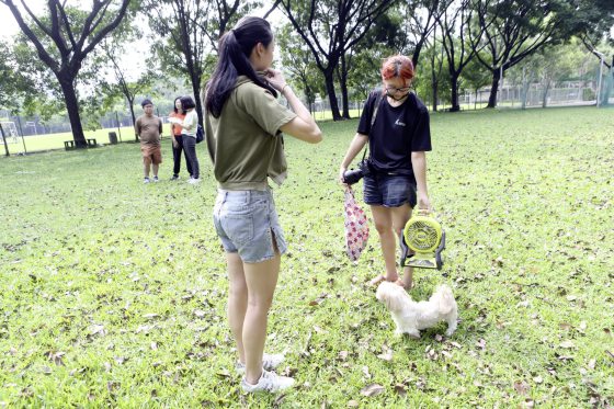 阿Girl，妈妈心中最美的天使