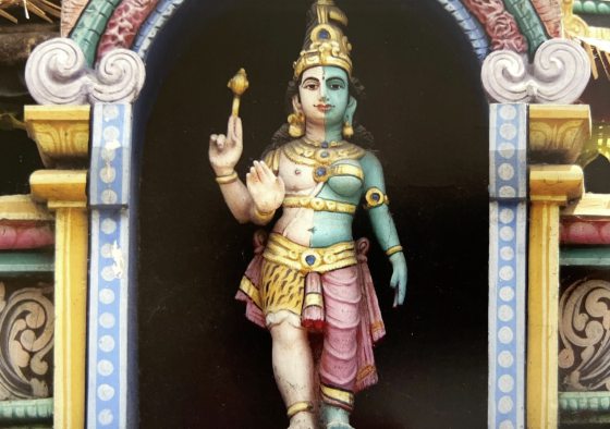 陈亚才／双性同体的大神