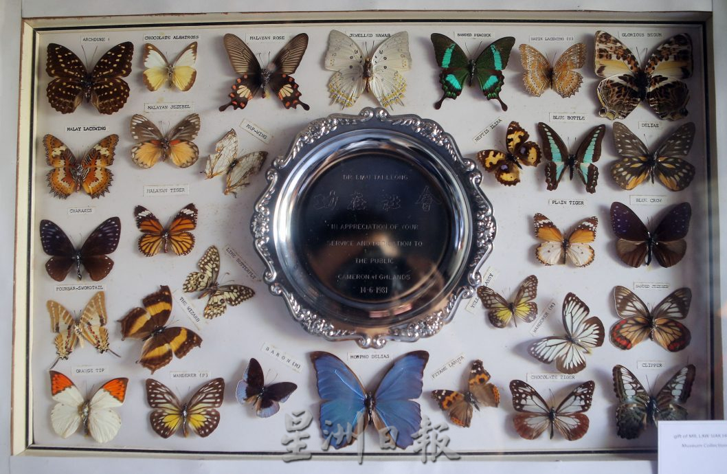 霹:封底主文/蝴蝶博物馆 具梦想教育环保于一身