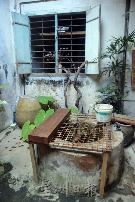 霹:封底主文/蝴蝶博物馆 具梦想教育环保于一身