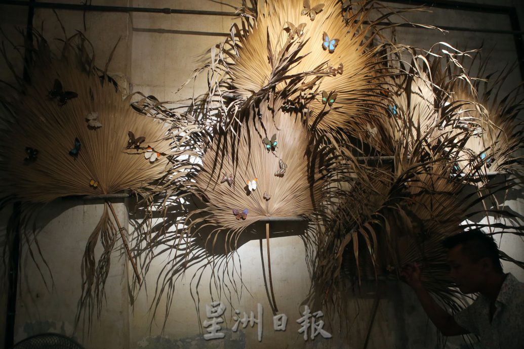 霹:封底主文/蝴蝶博物馆 具梦想教育环保于一身