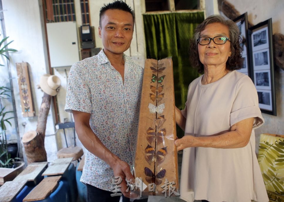 霹:封底主文/蝴蝶博物馆 具梦想教育环保于一身