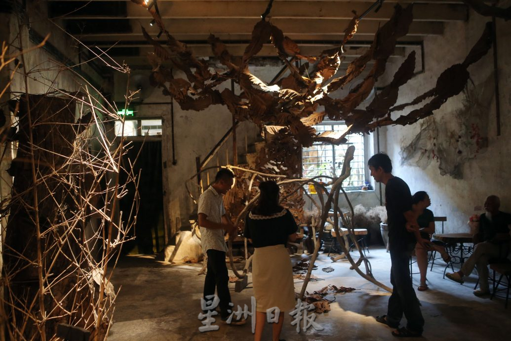 霹:封底主文/蝴蝶博物馆 具梦想教育环保于一身