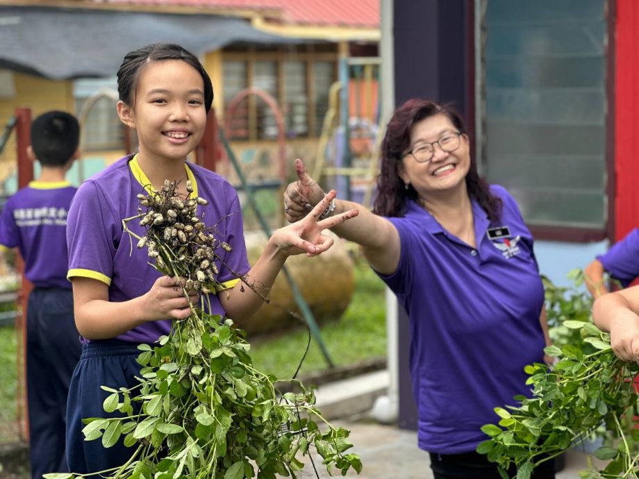 霹：请签网／端洛百利华小花生收成了