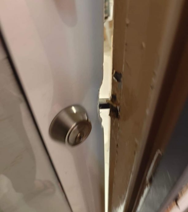 首都镇宠物用品店清晨遇劫,女店主勇敢应对保护自己和猫咪