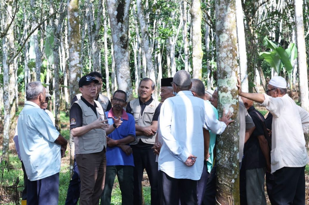 (全国版)法迪拉:EUDR存在歧视性做法,限制大马棕油!