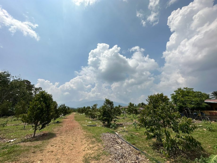 (古城封底主文)【乡镇情深】冯鹿巴登新村
