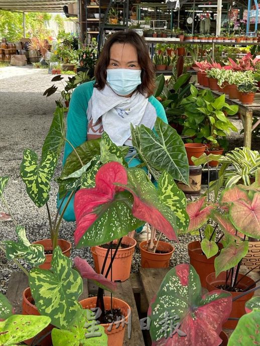 （古城封底主文）【带你去找爱】：下一代的爱