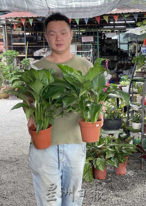 （古城封底主文）【带你去找爱】：下一代的爱