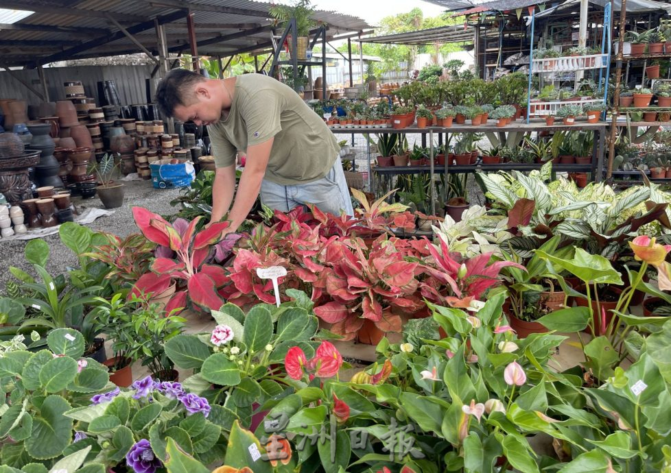 （古城封底主文）【带你去找爱】：下一代的爱