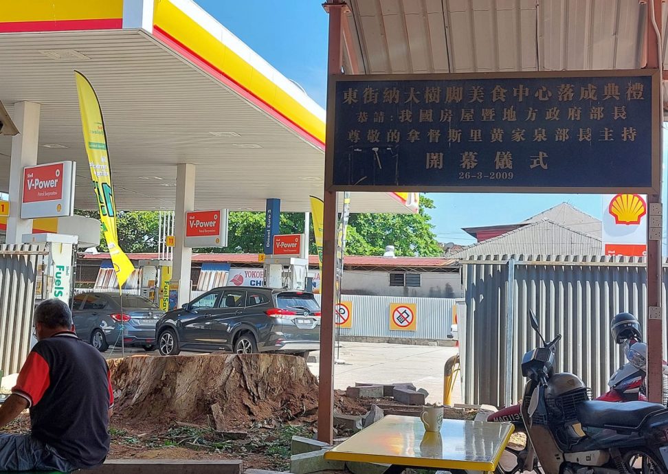 (古城封面主文)东街纳大树脚美食中心的大树被砍除
