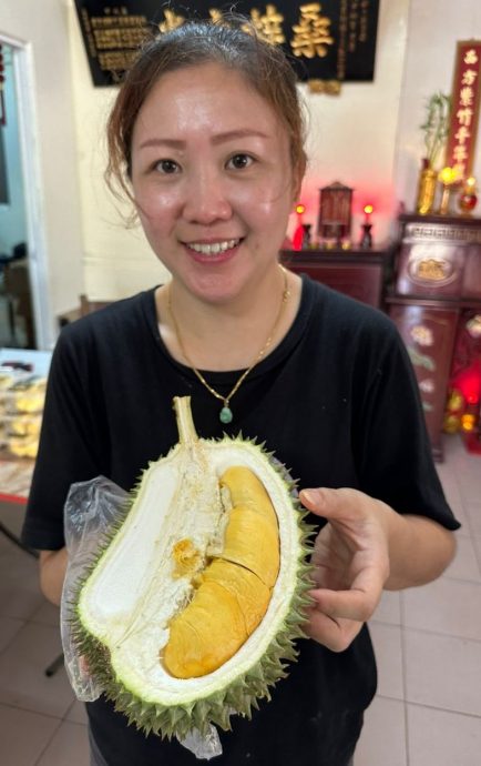 (古城封面主文)古城榴梿飘香 假期游客涌入带旺榴梿市场