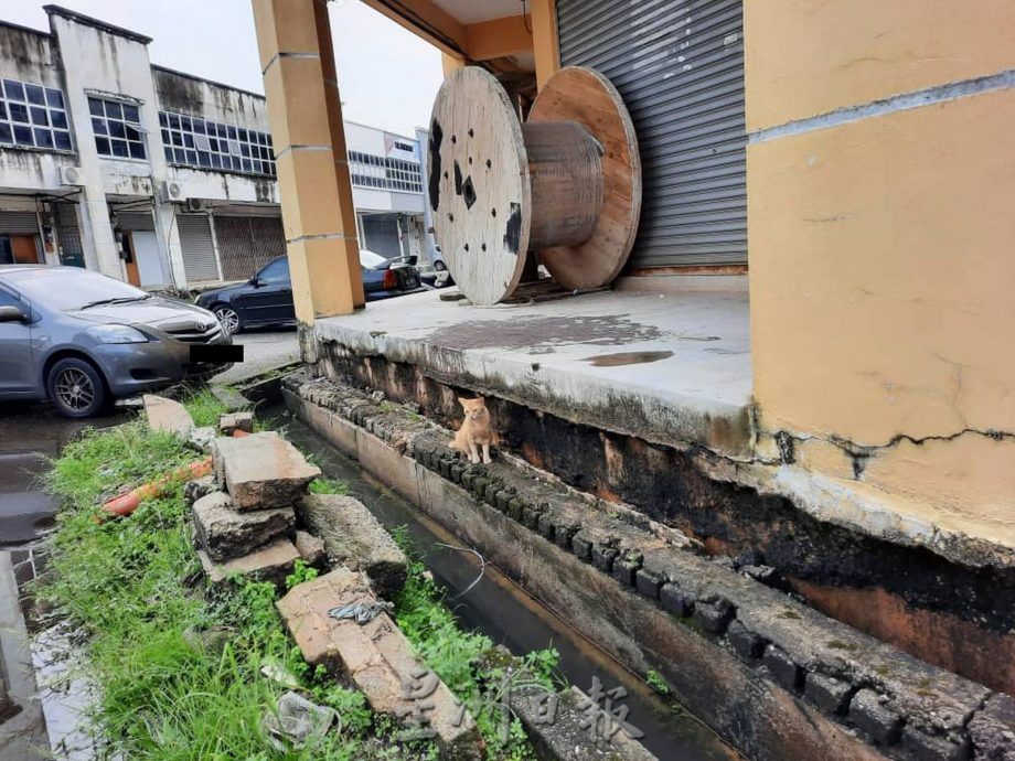 （古城封面主文）市议会将发出通告要业者清理障碍物