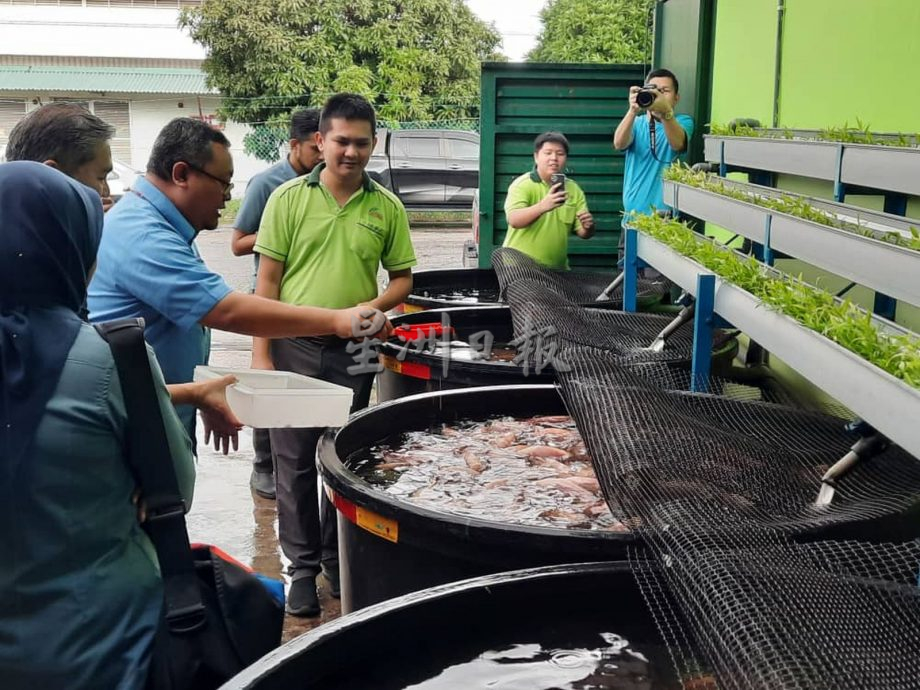 (古城封面主文)黑水虻处理厨余,变化出有机饲料、肥料等