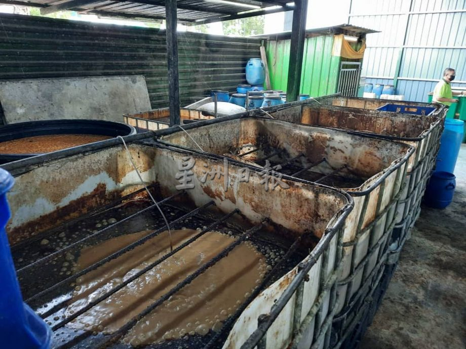 (古城封面主文)黑水虻处理厨余,变化出有机饲料、肥料等