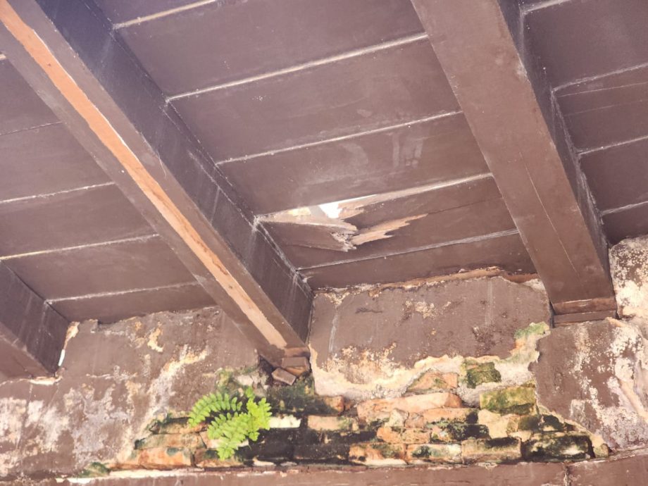 (古城版)红屋店面单位被白蚁侵蚀、老旧等问题,林朝雁呼吁当局关注