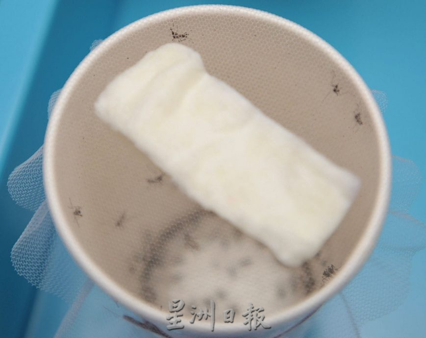 (古城版)魏喜森:骨痛热症病例较去年同期增加
