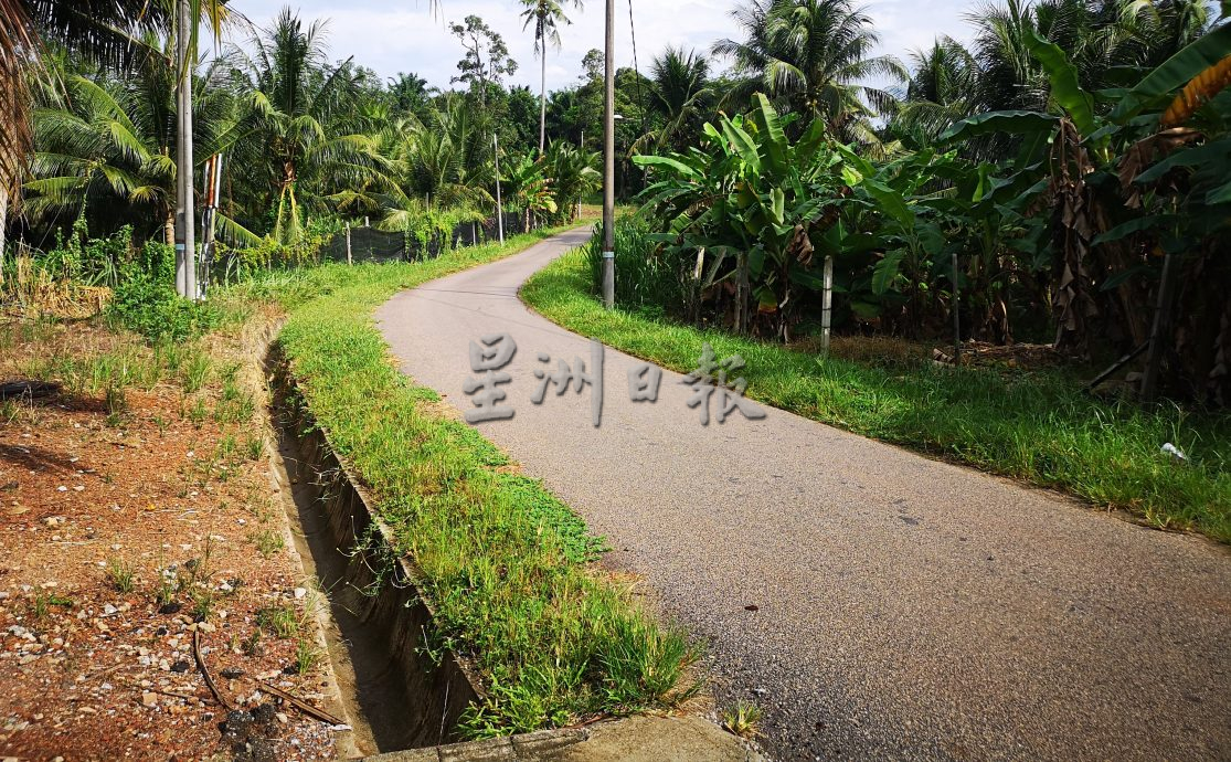 (古城第三版主文)“CMI INFRA”接管后更糟糕 阿依沙叻除草工作流于表面 草率不认真