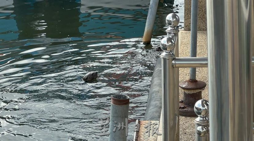 （古城第三版主文）甲河广场检疫大厦走道被阻 民众游客需绕道而行