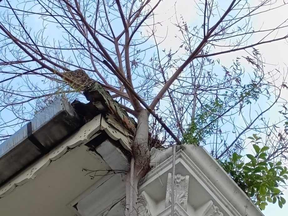 （古城第三版主文）祈安律商店部分招牌脱落 梁证法促业者定期检查及维修