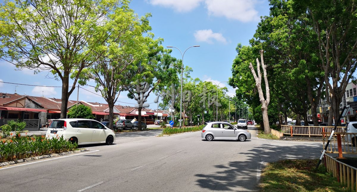 （古城第五版主文）默迪卡花园大路路口多车速快车祸频传 罗舜生建议砍或大幅修剪路口及分界堤小树 减少车祸