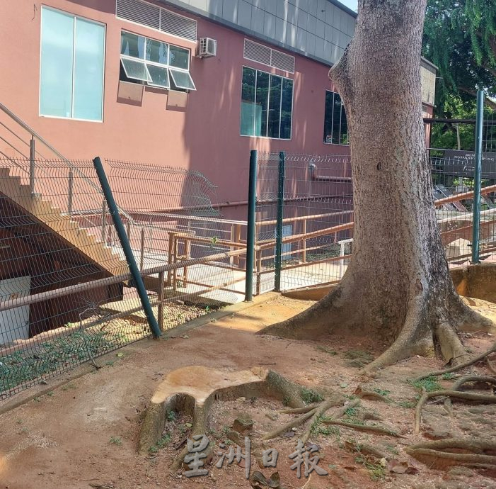 (古城第六版主文)古迹老树需维护