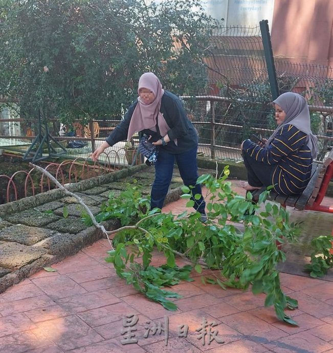 (古城第六版主文)古迹老树需维护