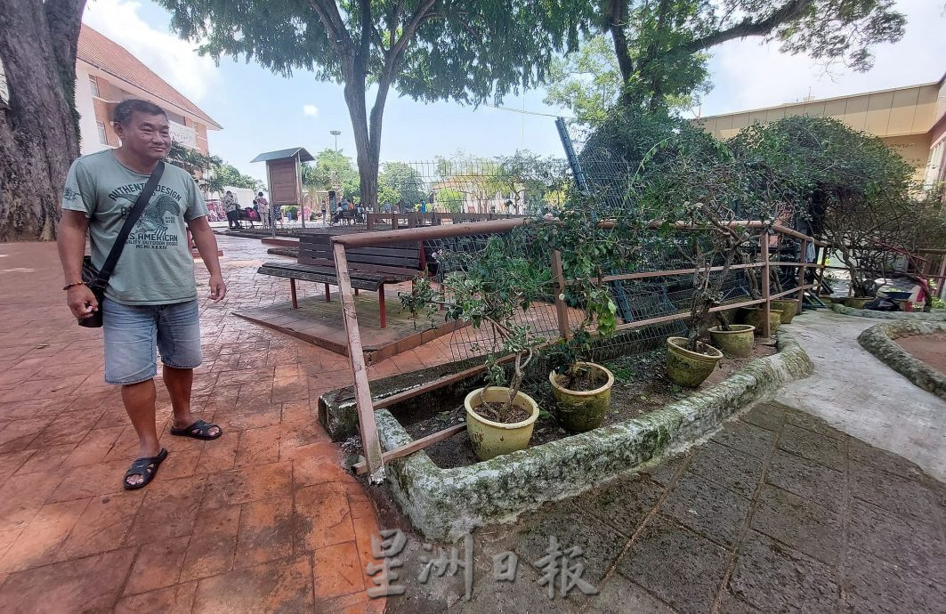 (古城第六版主文)古迹老树需维护