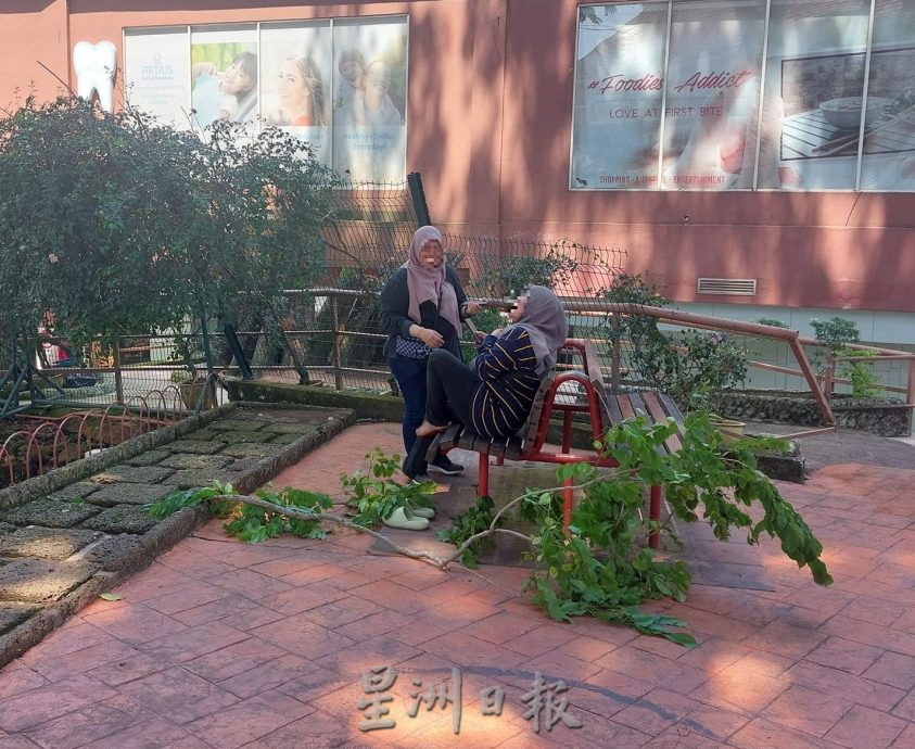 (古城第六版主文)古迹老树需维护