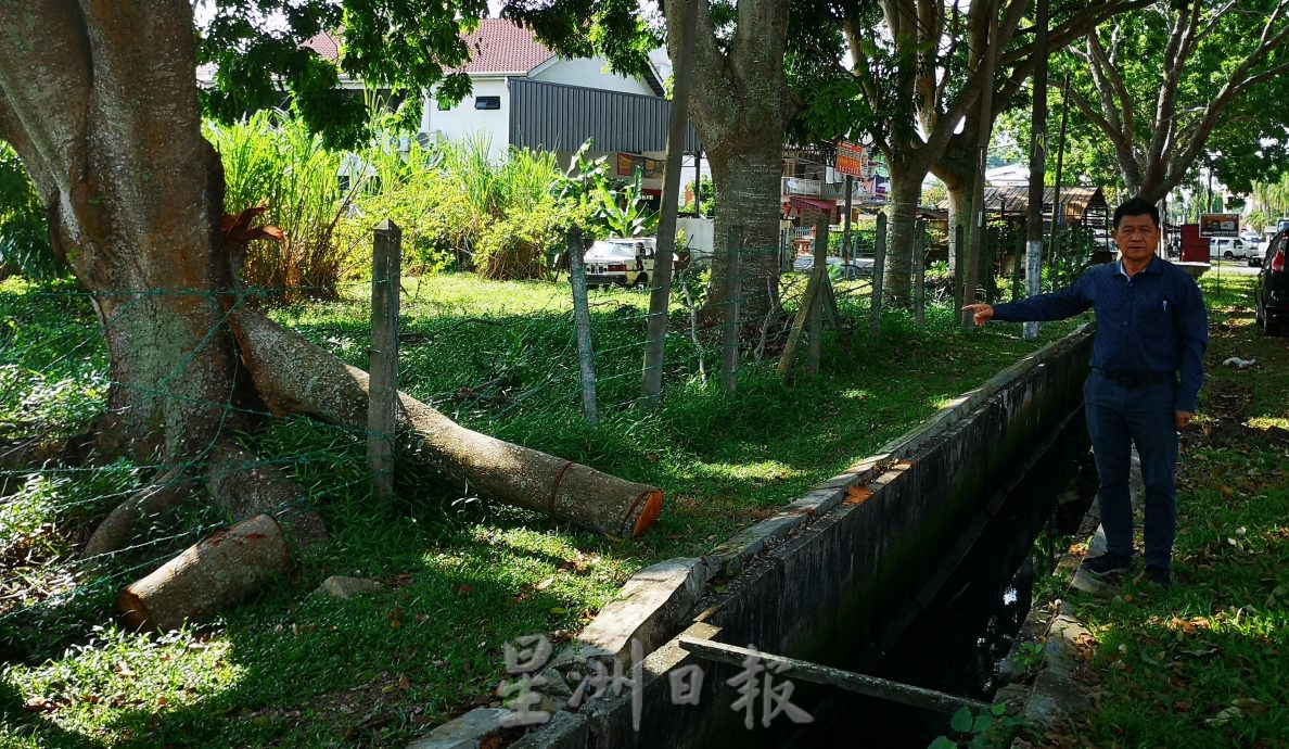 (古城第六版主文)大吉里望老树倾斜好危险