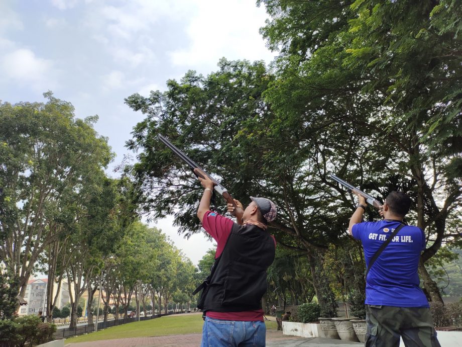 (大北马)威省市政厅17日在威中15地点射鸦行动