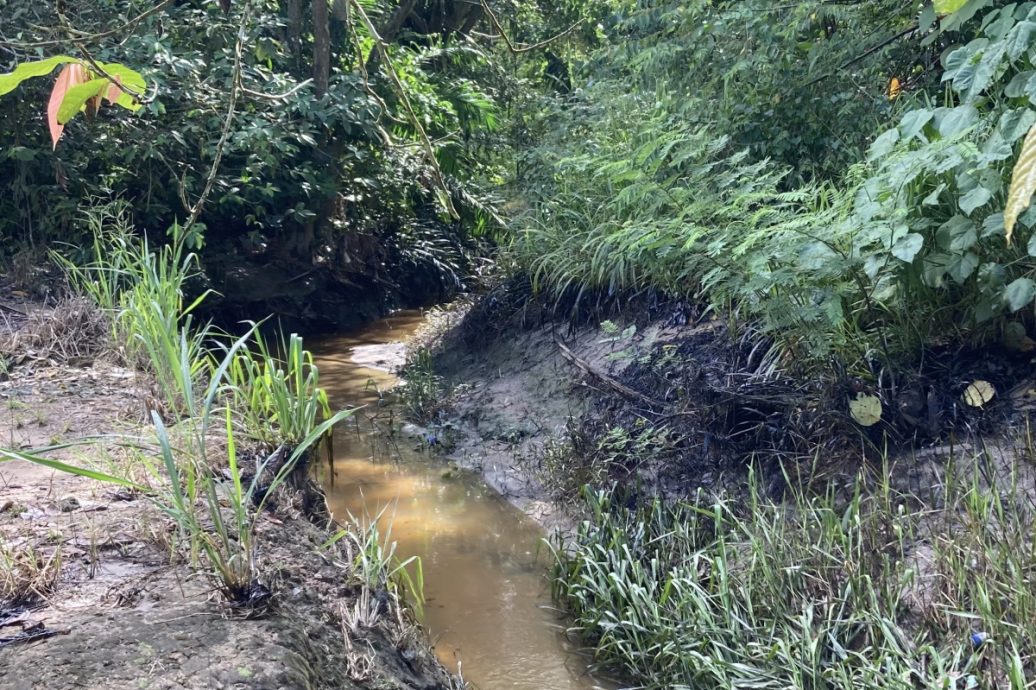 (已签发)柔:广西村河水又被污染 雨后满是油迹柴油味