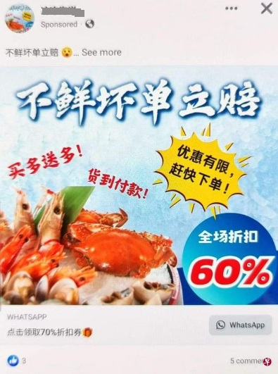 (已签发)柔:狮城二三事:以广告为饵诱公众下单 窃取密码转走公积金存款