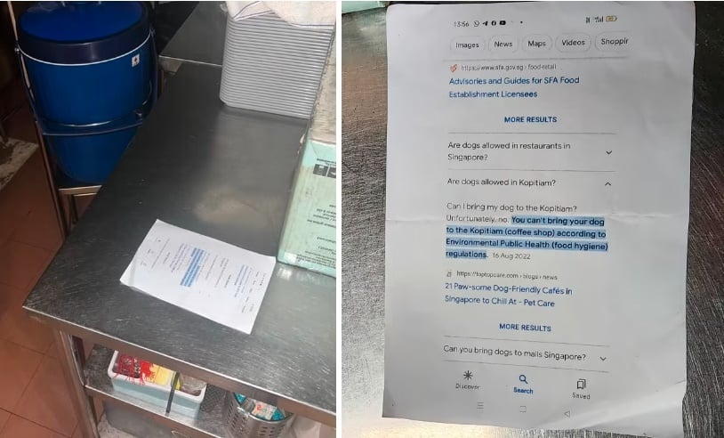 (已签发)柔:狮城二三事:疑不满导盲犬现身咖啡店 妇女与鸡饭摊主起纠纷 摊主报警