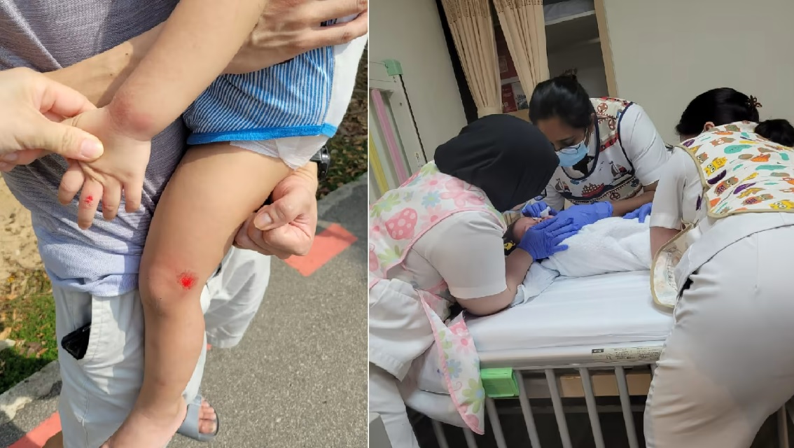 (已签发)柔:狮城二三事:脚踏车骑士撞伤母女后联系不上 伤者愤而上网寻人