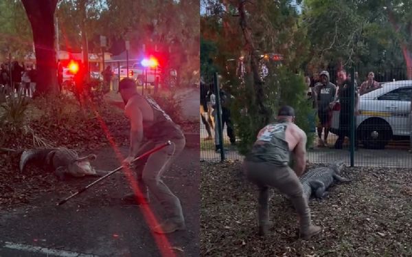 MMA选手在小学大战“3公尺长巨鳄” 人兽肉搏吸200人围观尖叫