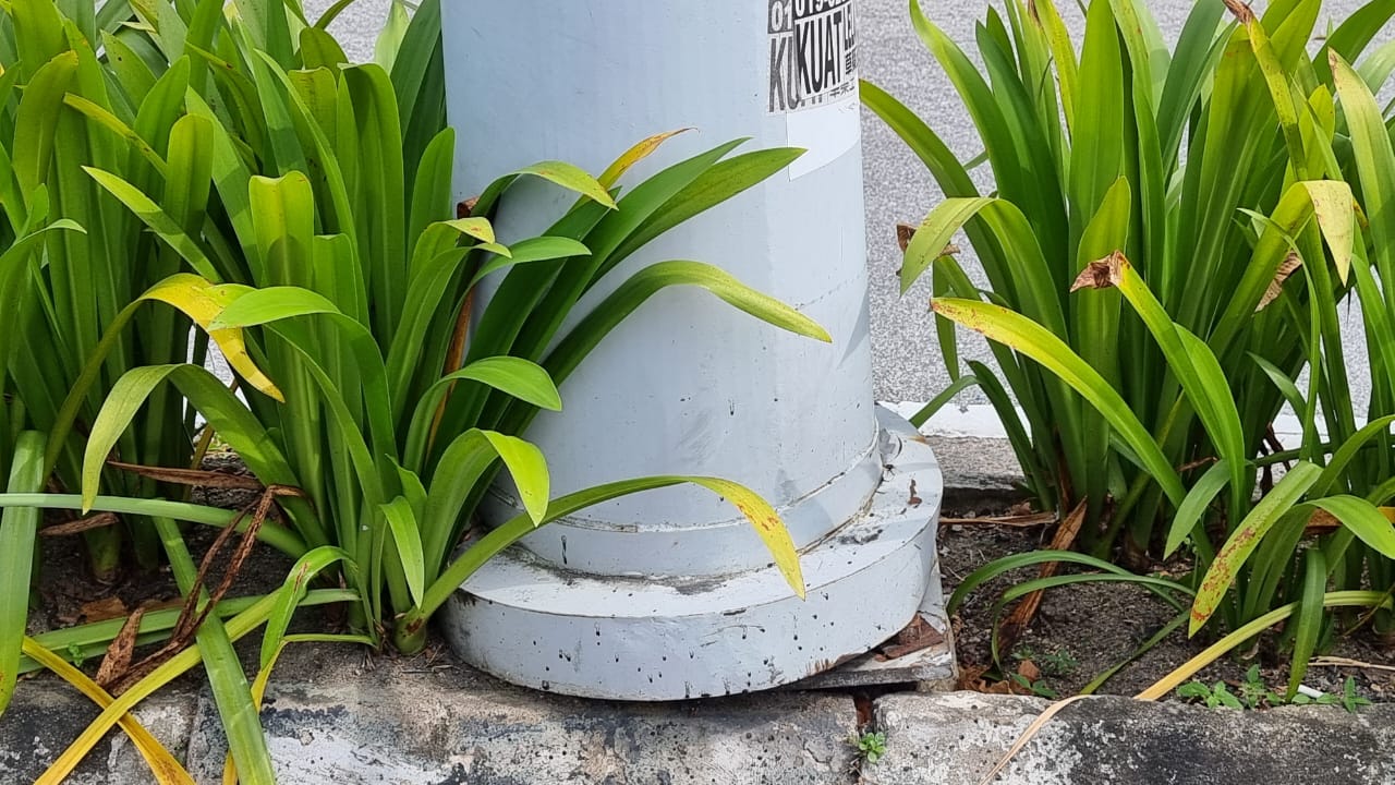 NS芙蓉/路灯严重倾斜，恐误伤道路使用者。