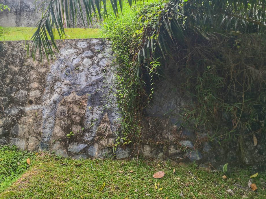 NS芙蓉／万茂新村壁画需修复，欢迎画友们献力