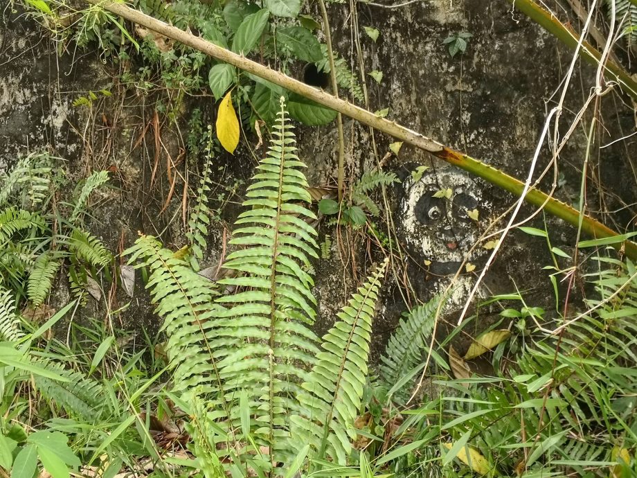 NS芙蓉／万茂新村壁画需修复，欢迎画友们献力