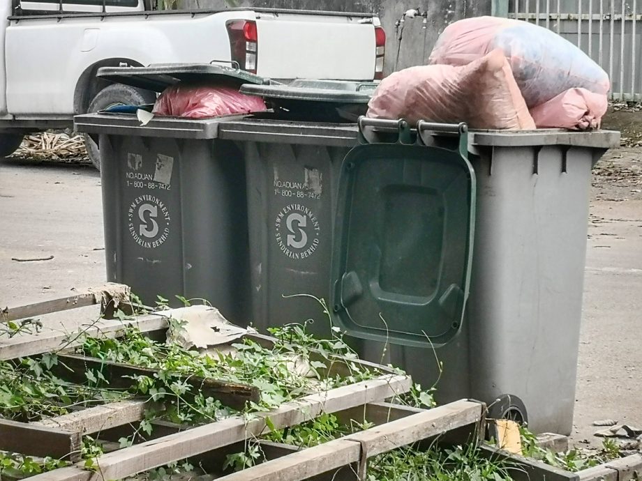 NS芙蓉/非法宰鸡厂引卫生问题,厂商们不满