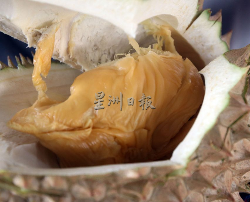 ns芙蓉:天气热,榴梿依然热销中?业者:“才没有!”,生意普遍下跌了50%