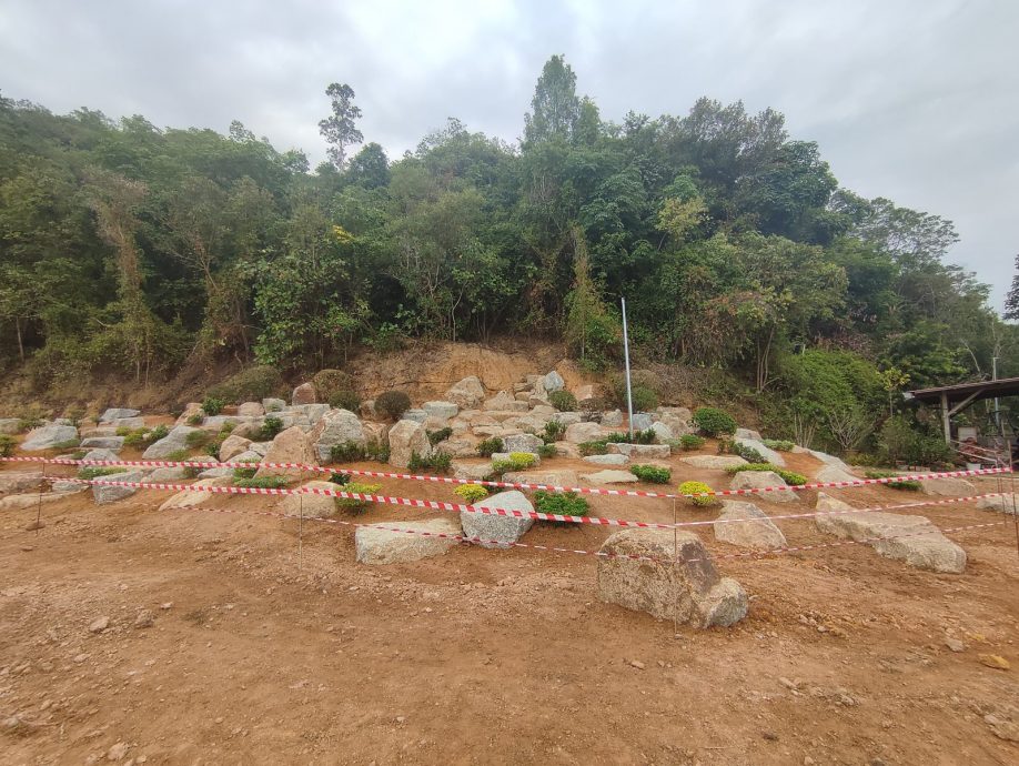 NS马口／马口佛光山请外国园艺家设计日本园