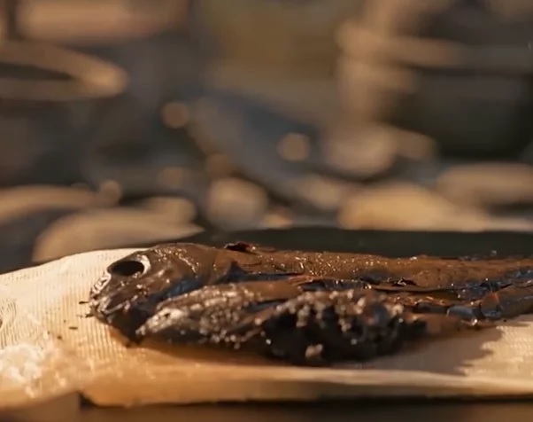 13条2千年前的鱼 古代黑科技专家直呼奇迹