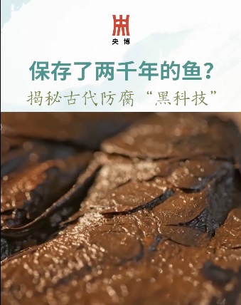13条2千年前的鱼 古代黑科技专家直呼奇迹