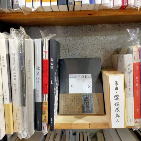 【台湾】台东池上巡礼/走进蒋勋的书中场景,与天地对话